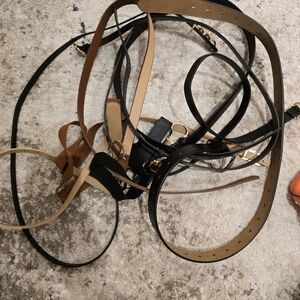 Elegant Black and Brown Women's Belt Set